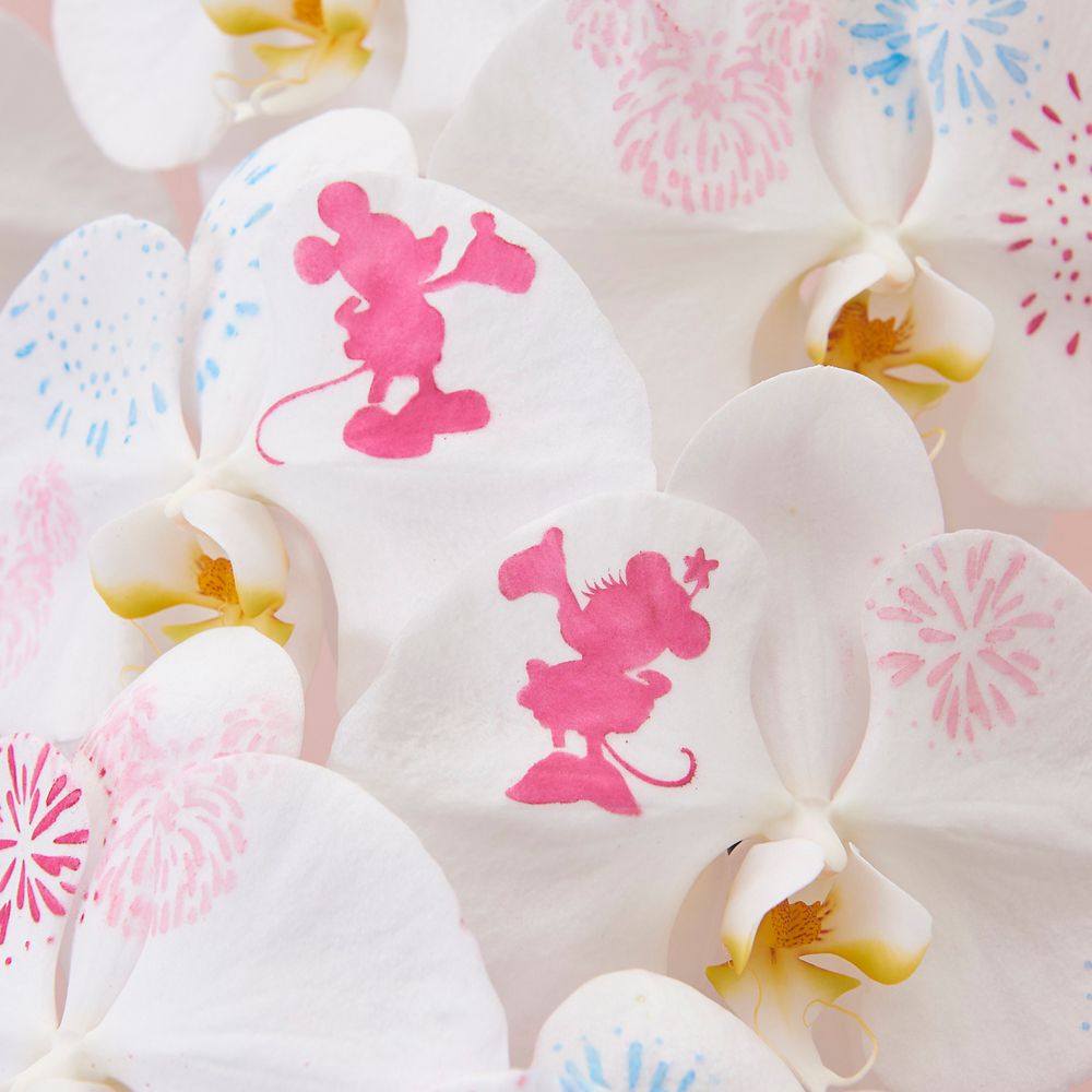 【受注生産】ディズニー 胡蝶蘭「化粧蘭（YUME HANABI）」　【TR6930】