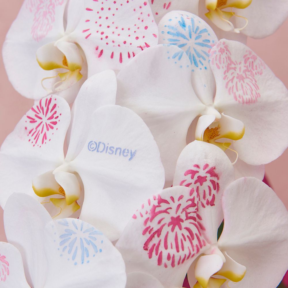 【受注生産】ディズニー 胡蝶蘭「化粧蘭（YUME HANABI）」　【TR6930】