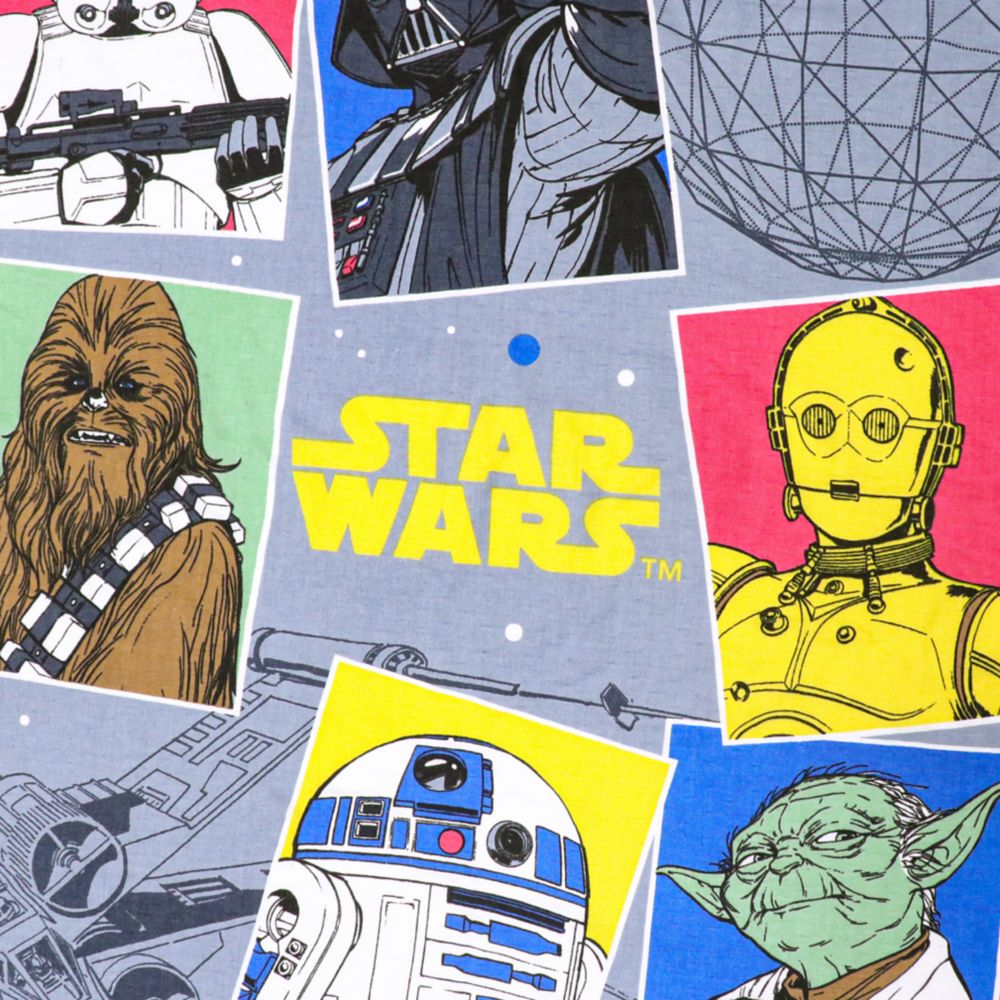 スター・ウォーズ タオルケット 100&times;140cm  STAR WARS ダース・ベイダー ヨーダ R2-D2 C-3PO ストームトルーパー チューバッカ 表ガーゼ 裏パイル 綿100% NS1410-SW