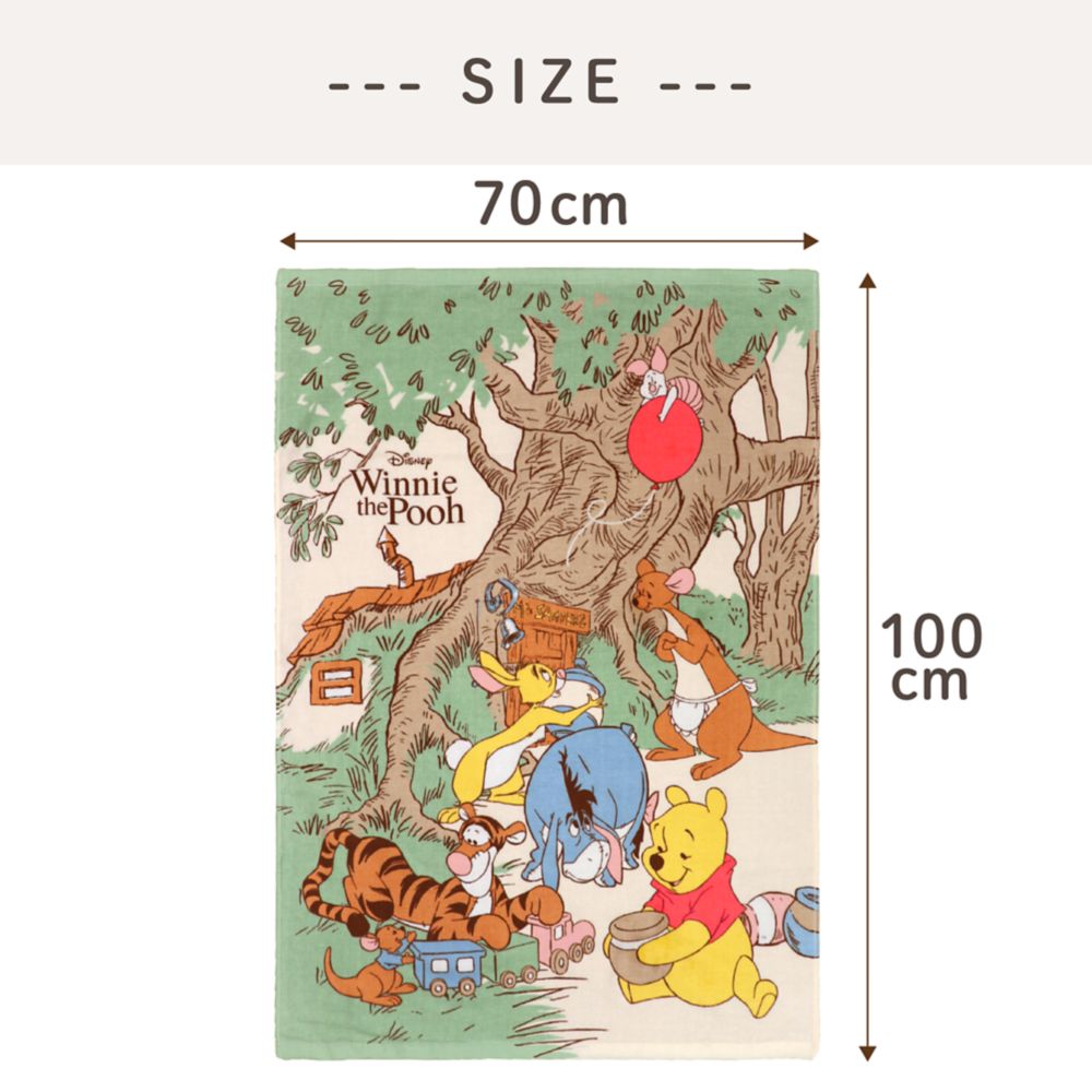 プーさん ティガー イーヨー  タオルケット 70&times;100cm 表ガーゼ 裏パイル 綿100% NZ1700-PH