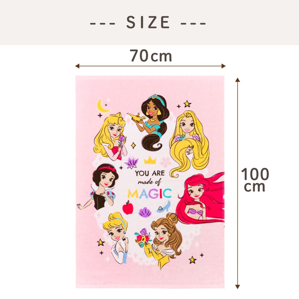 ディズニープリンセス タオルケット 70&times;100cm 表ガーゼ 裏パイル 綿100% NZ1701-PR