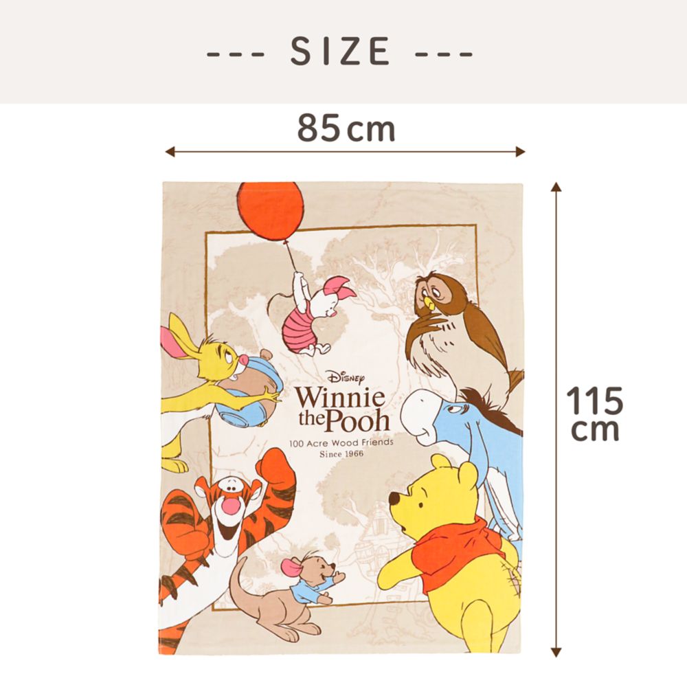 プーさん ティガー ピグレット イーヨー タオルケット 85&times;115cm 表ガーゼ 裏パイル 綿100% NZ1810-PH