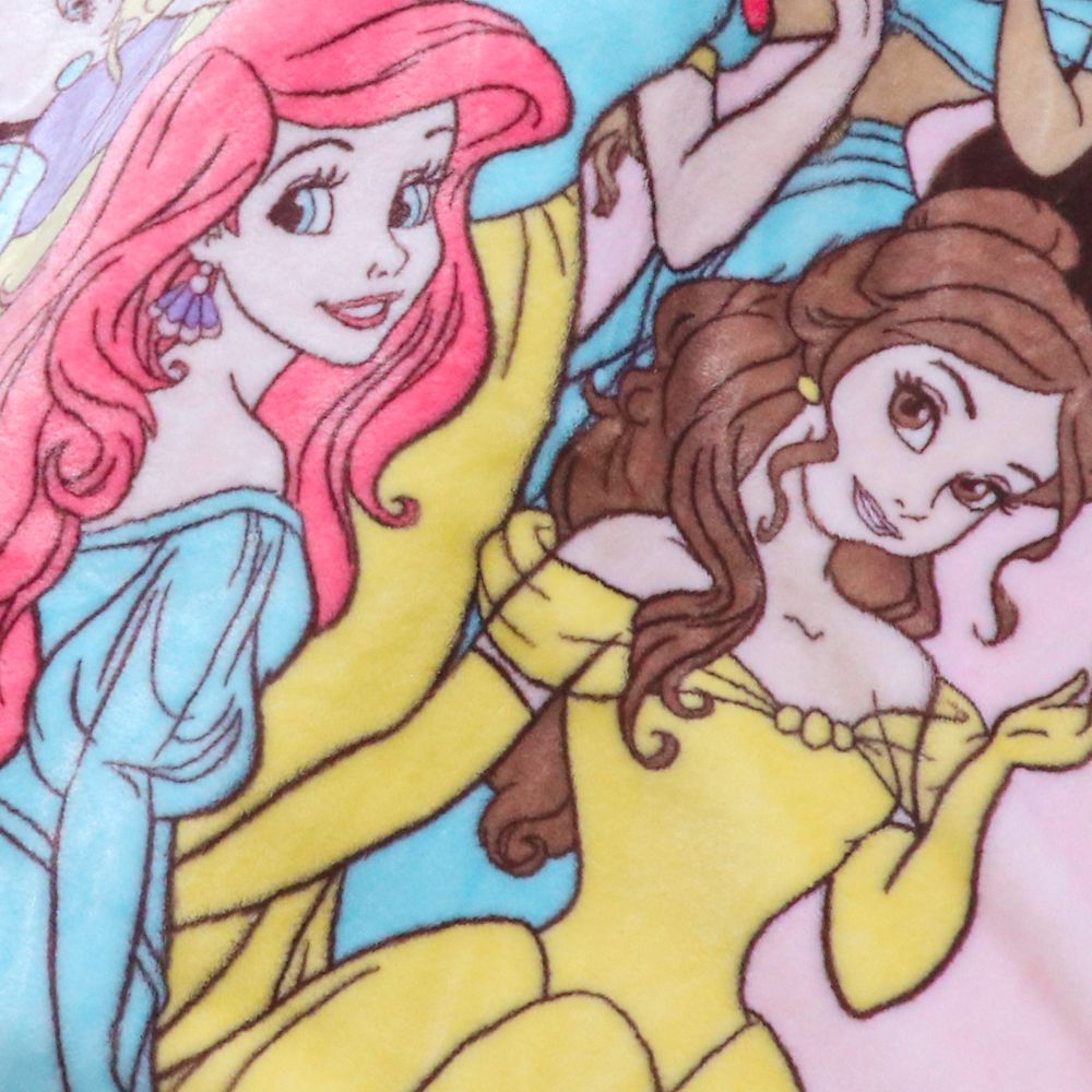 公式 ショップディズニー あったか 毛布 ディズニープリンセス 85 115cm ニューマイヤー