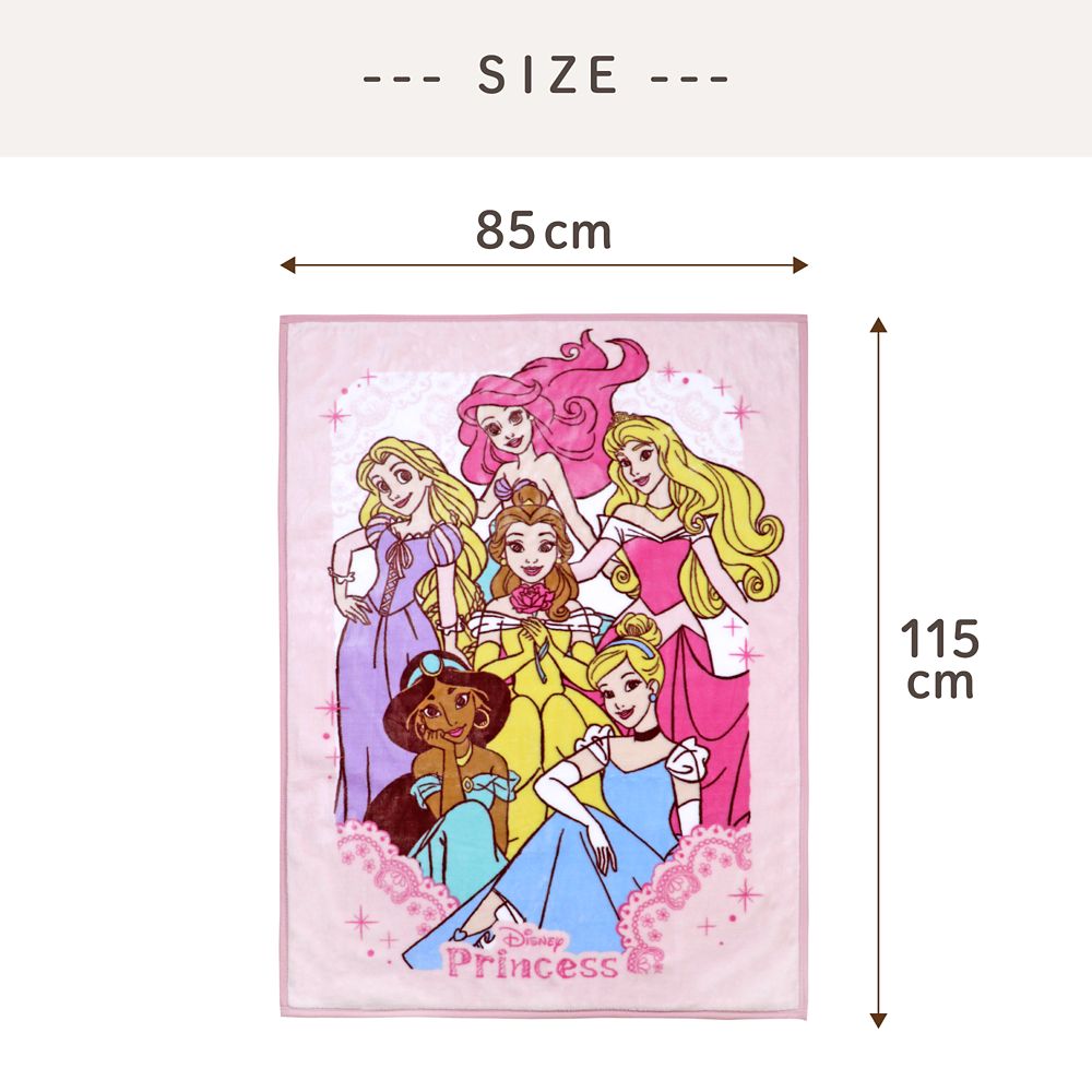 ディズニープリンセス 毛布 85&times;115cm ニューマイヤー NZ2001-PR