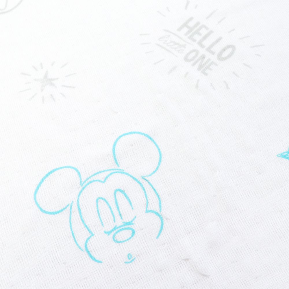 ミッキー ミニー タオルケット 85&times;115cm 表ガーゼ 裏パイル 綿100% NZ8625