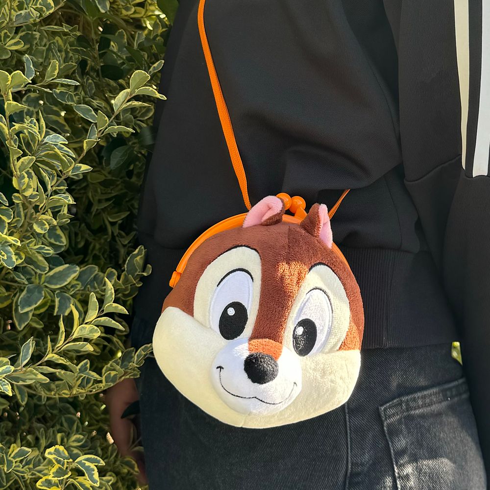 チップ　ポシェット（プラがまぐち）