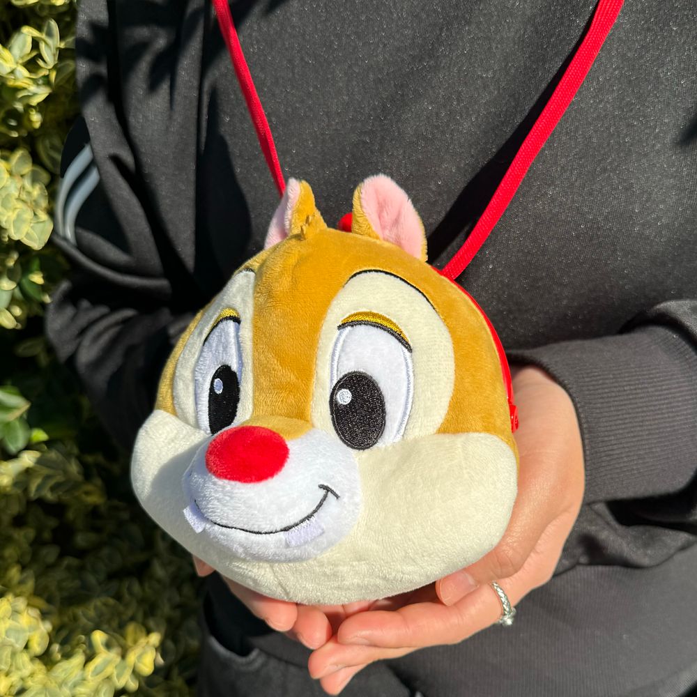 デール　ポシェット（プラがまぐち）