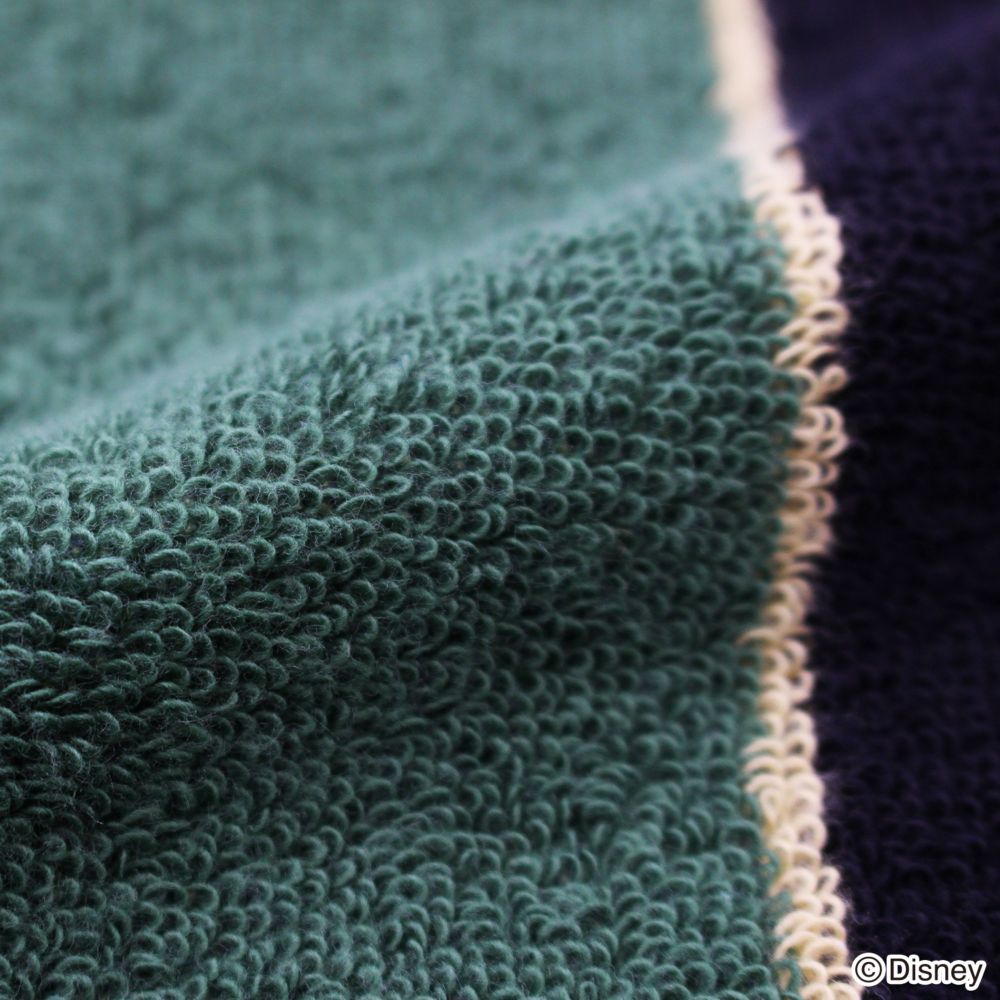 『ディズニー ツイステッドワンダーランド』 タオルハンカチ グリーン ディアソムニア 38-5010070-DI