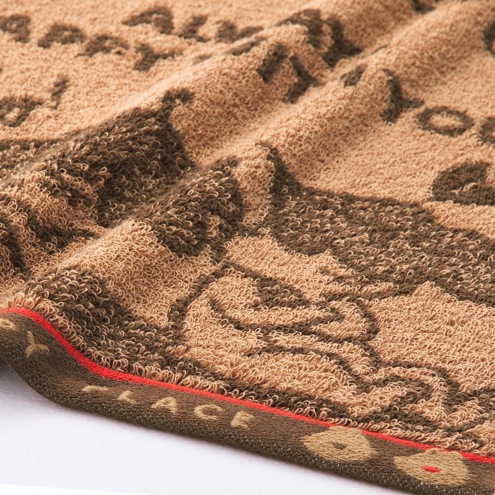 Disney   フェイスタオル ネイチャープレイス チップ＆デール 38-1362150-BR