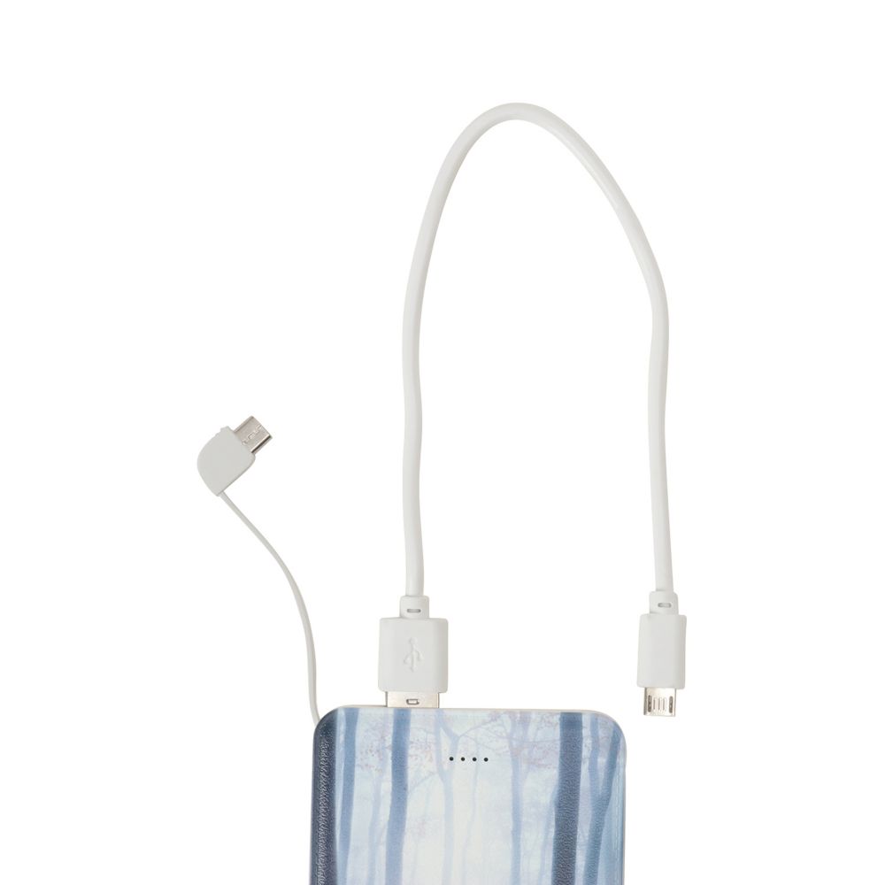 ディズニー アナと雪の女王２ モバイルバッテリー ポスターＡ