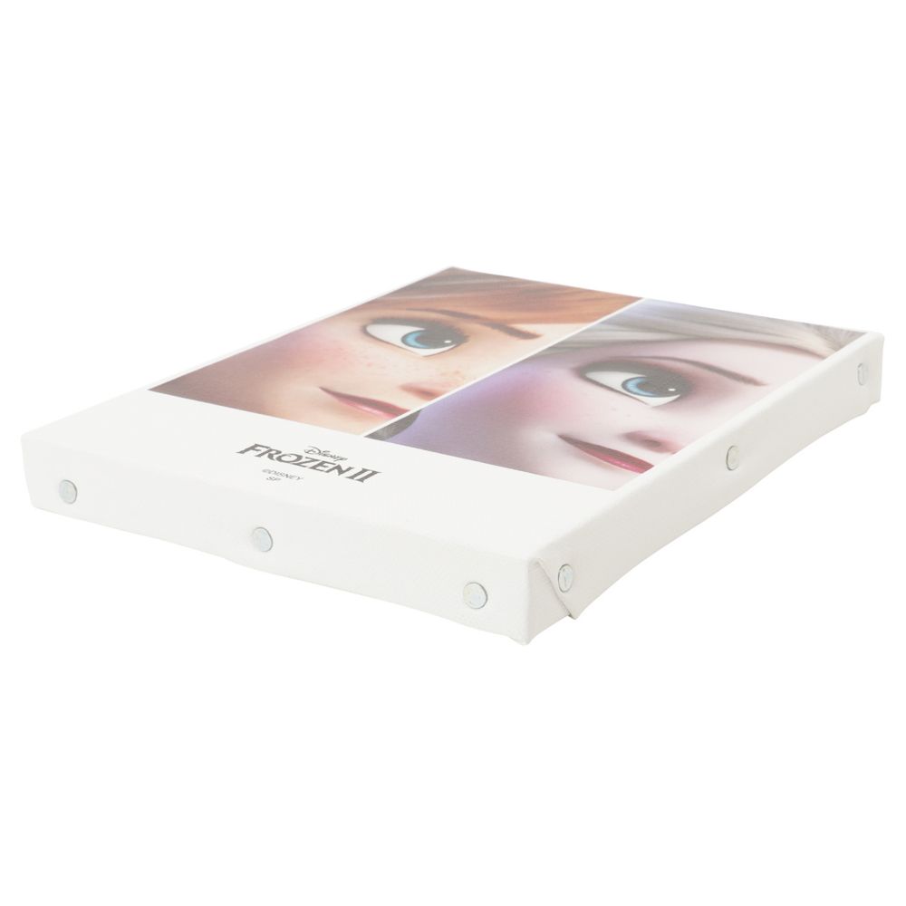 ディズニー アナと雪の女王２ キャンバスアート フェイスアップ