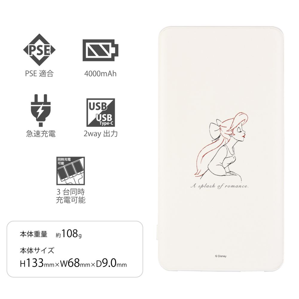 アリエル USB/USB Type-C 4000mAh リチウムイオンポリマー充電器 2.1A ワンポイント DNG-11A