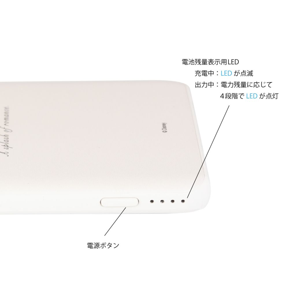 アリエル USB/USB Type-C 4000mAh リチウムイオンポリマー充電器 2.1A ワンポイント DNG-11A