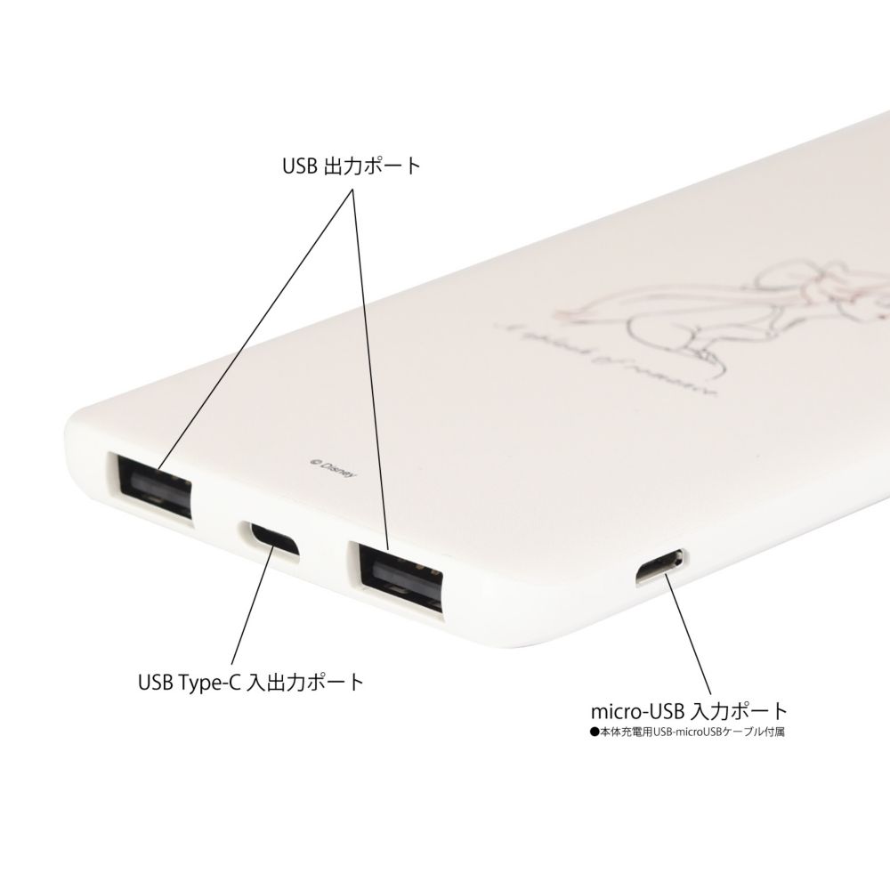 アリエル USB/USB Type-C 4000mAh リチウムイオンポリマー充電器 2.1A ワンポイント DNG-11A