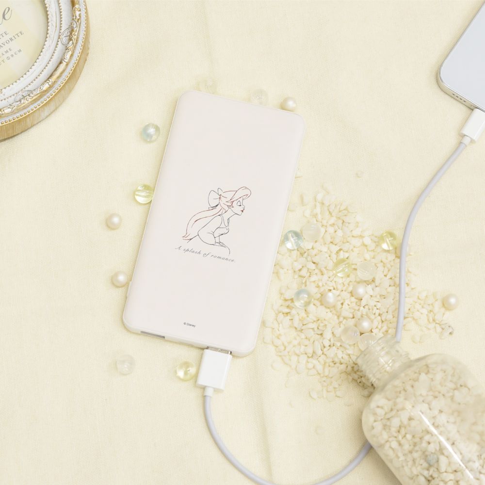 アリエル USB/USB Type-C 4000mAh リチウムイオンポリマー充電器 2.1A ワンポイント DNG-11A