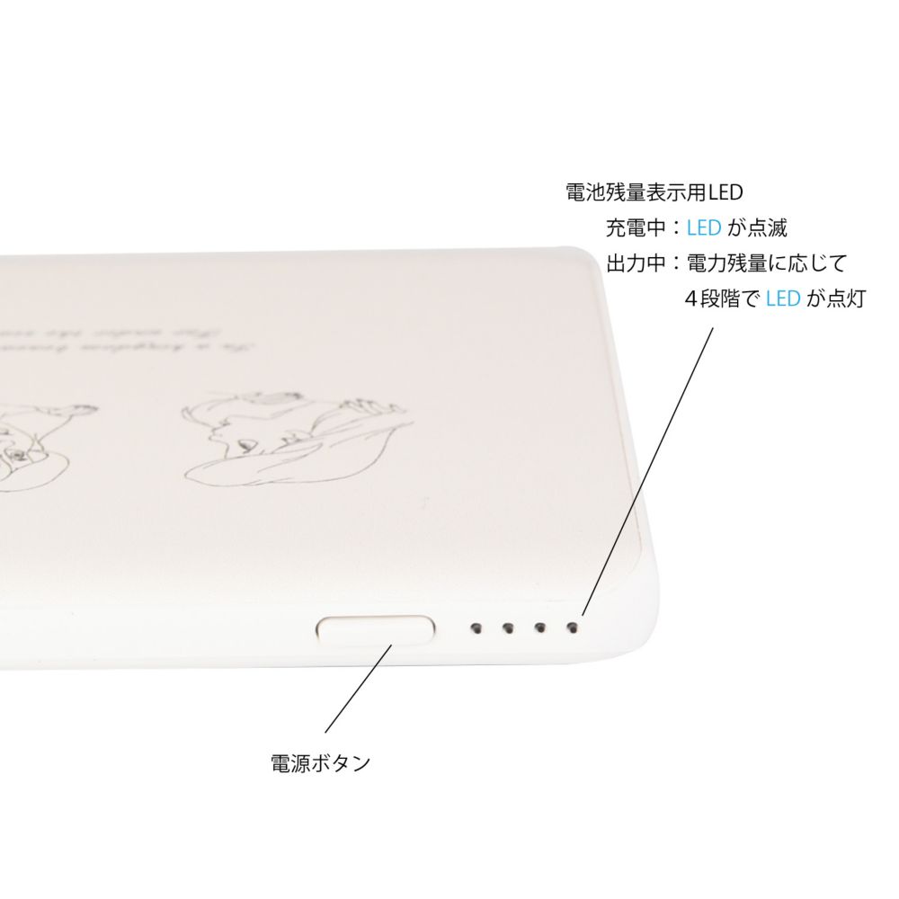 アリエル USB/USB Type-C 4000mAh リチウムイオンポリマー充電器 2.1A 表情 DNG-11B