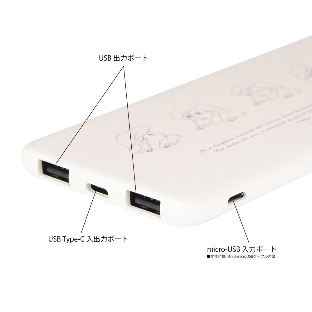 アリエル USB/USB Type-C 4000mAh リチウムイオンポリマー充電器 2.1A 表情 DNG-11B