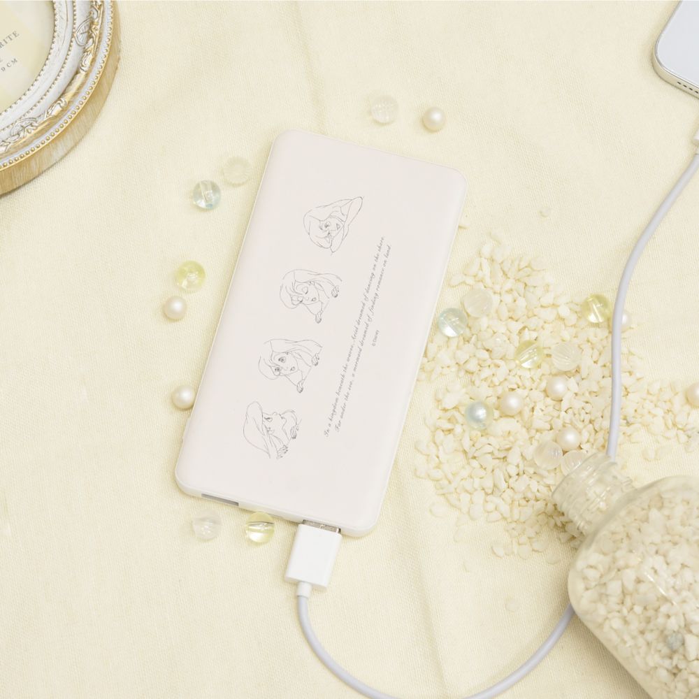 アリエル USB/USB Type-C 4000mAh リチウムイオンポリマー充電器 2.1A 表情 DNG-11B