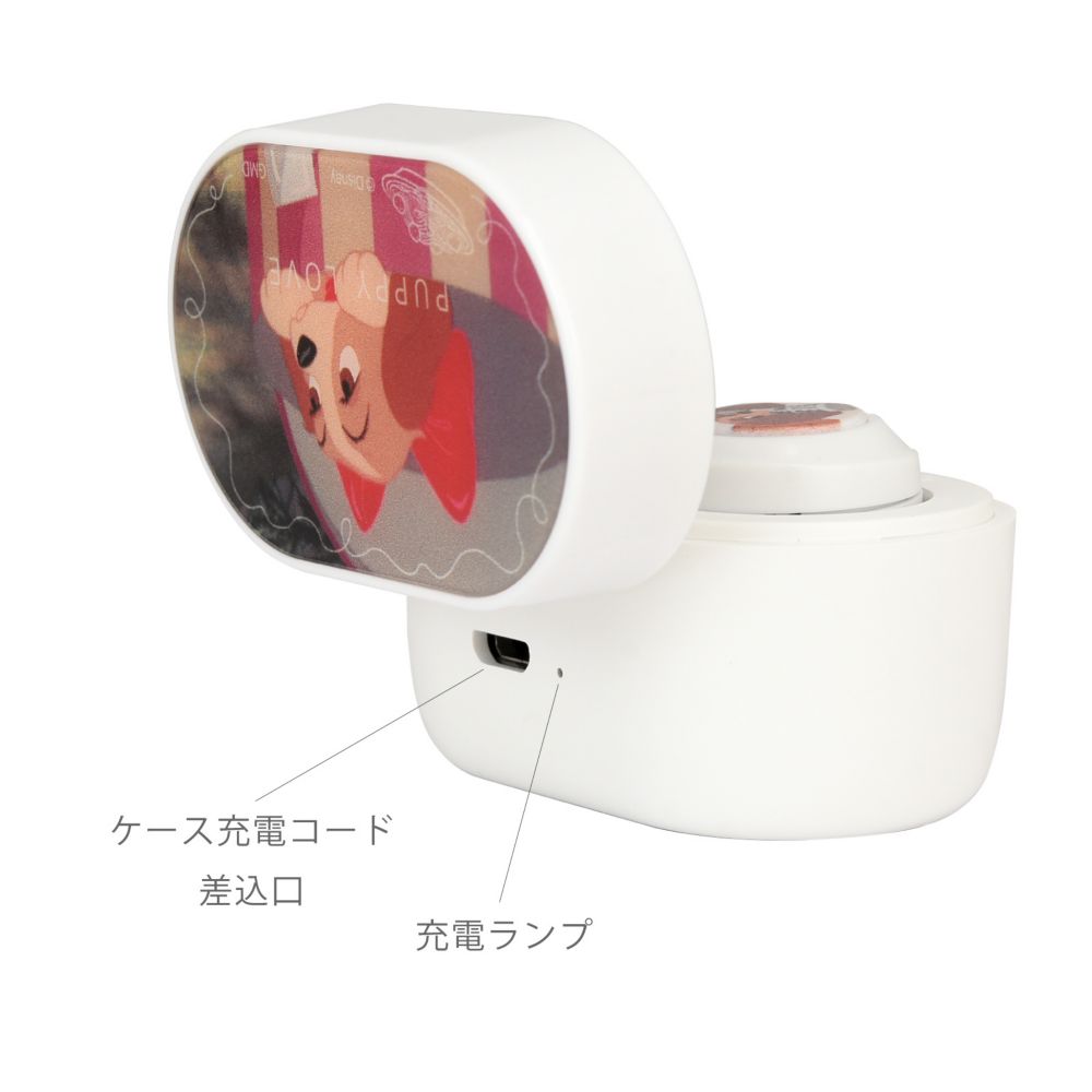 レディ 完全ワイヤレスステレオイヤホン DNG-29LT