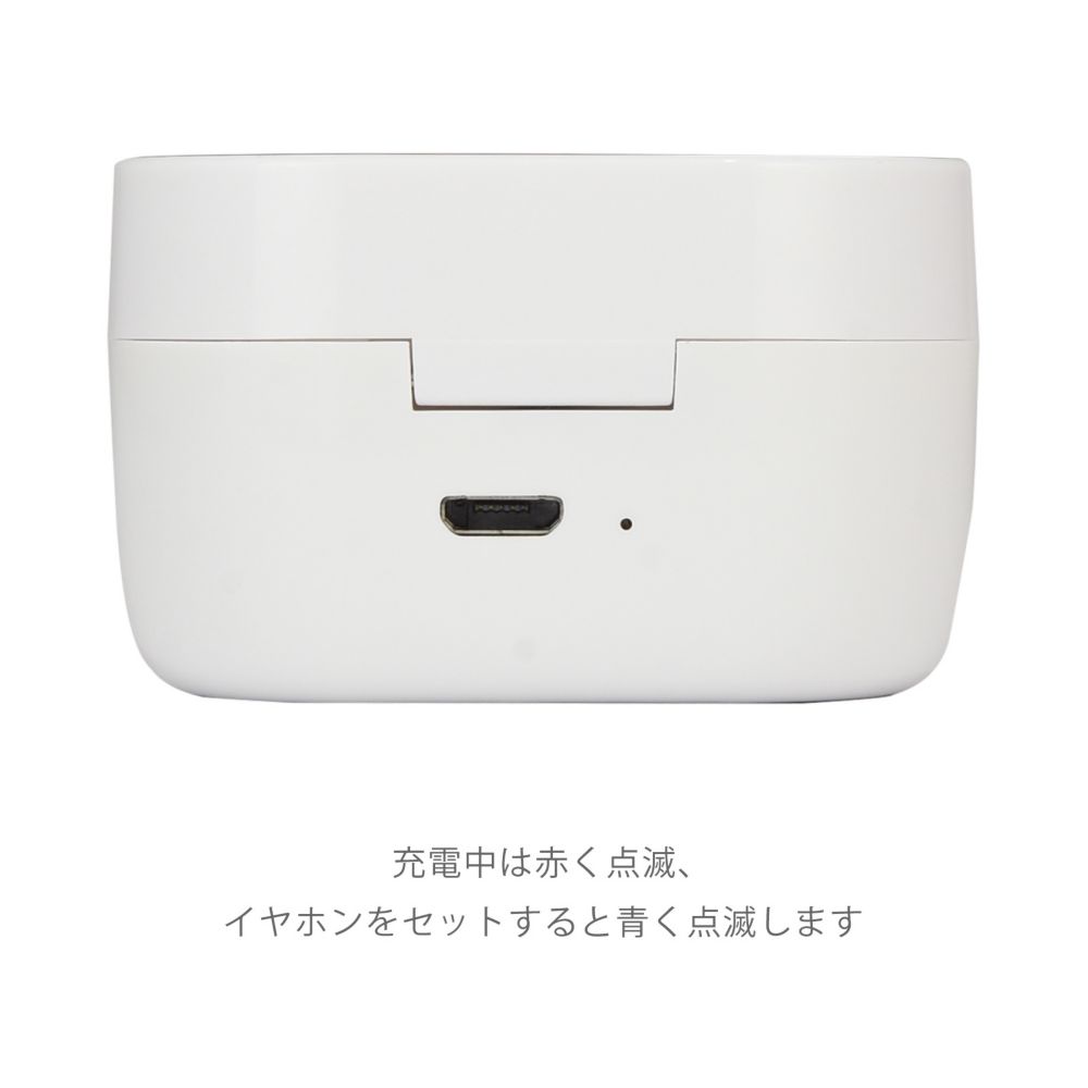 レディ 完全ワイヤレスステレオイヤホン DNG-29LT