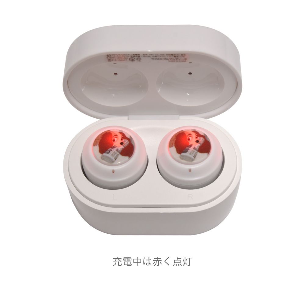 レディ 完全ワイヤレスステレオイヤホン DNG-29LT