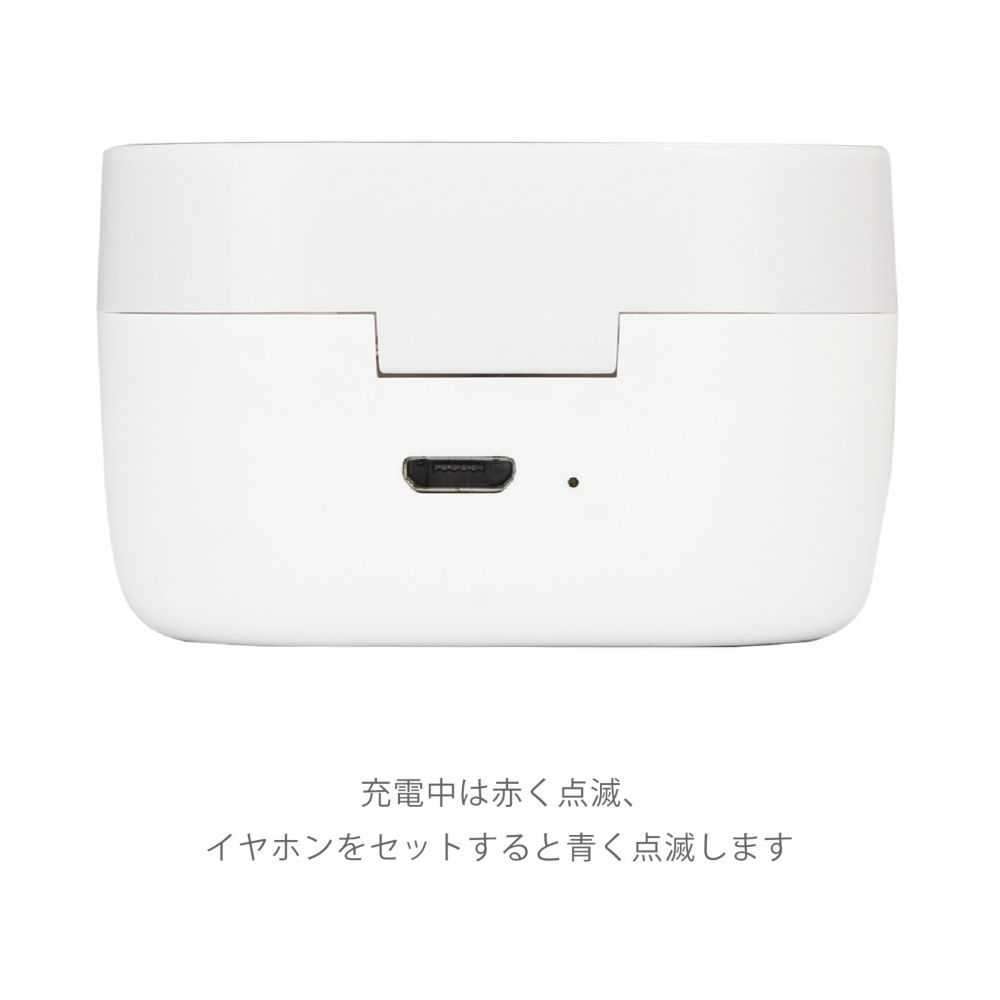 ミッキーマウス 総柄 完全ワイヤレスステレオイヤホン DNG-75A