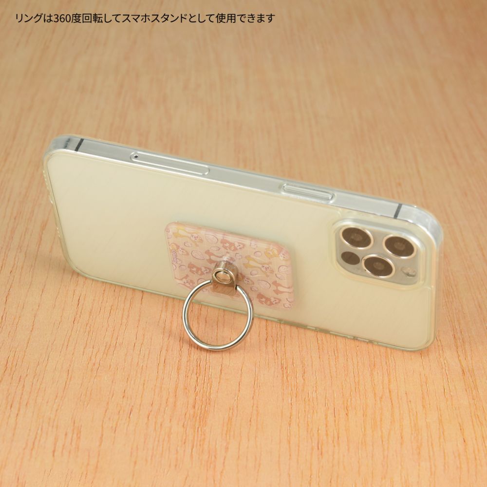 チップ＆デール マルチリング DNG-80CD