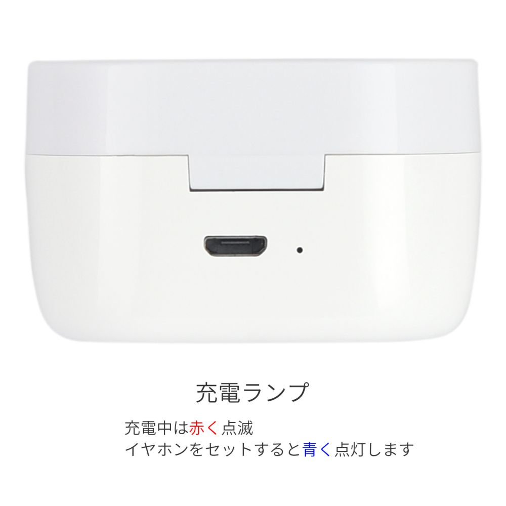 ズートピア ニック・ワイルド 完全ワイヤレスステレオイヤホン DNG-91A