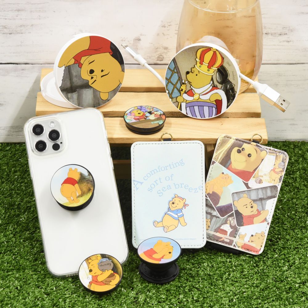 くまのプーさん ファニーフェイス  ICカードケース DNG-102D