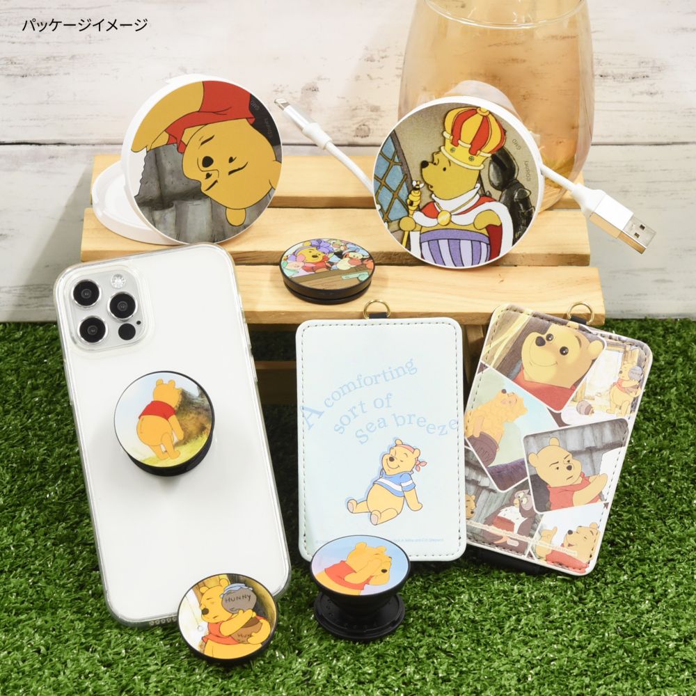 くまのプーさん おもたい POCOPOCO DNG-103C