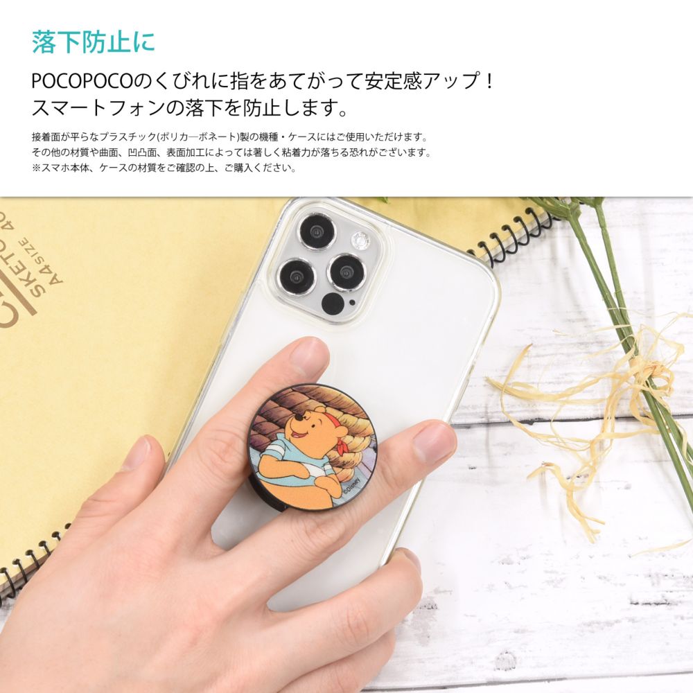 くまのプーさん かいぞく POCOPOCO DNG-103E