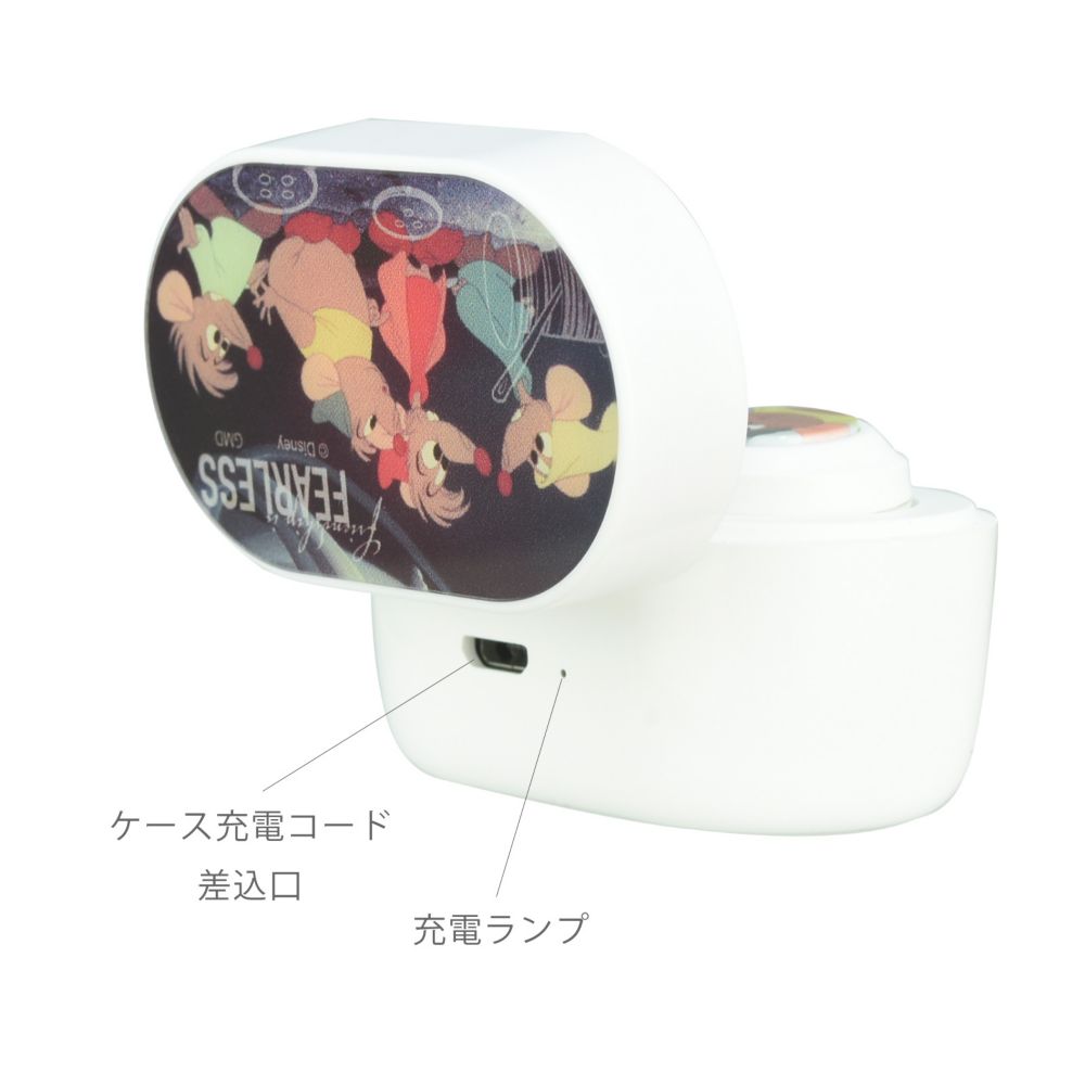 ジャック＆ガス 完全ワイヤレスステレオイヤホン DNG-108CN