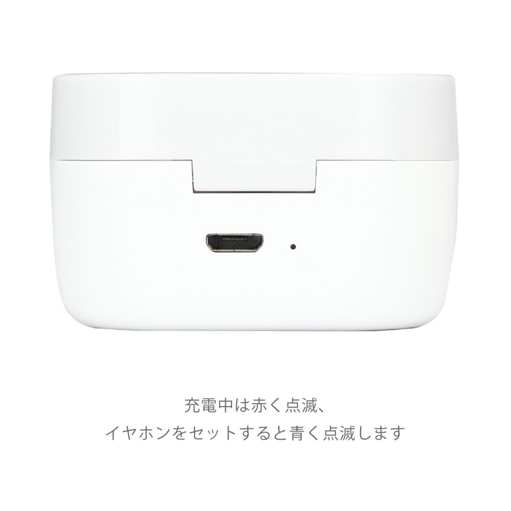 ジャック＆ガス 完全ワイヤレスステレオイヤホン DNG-108CN