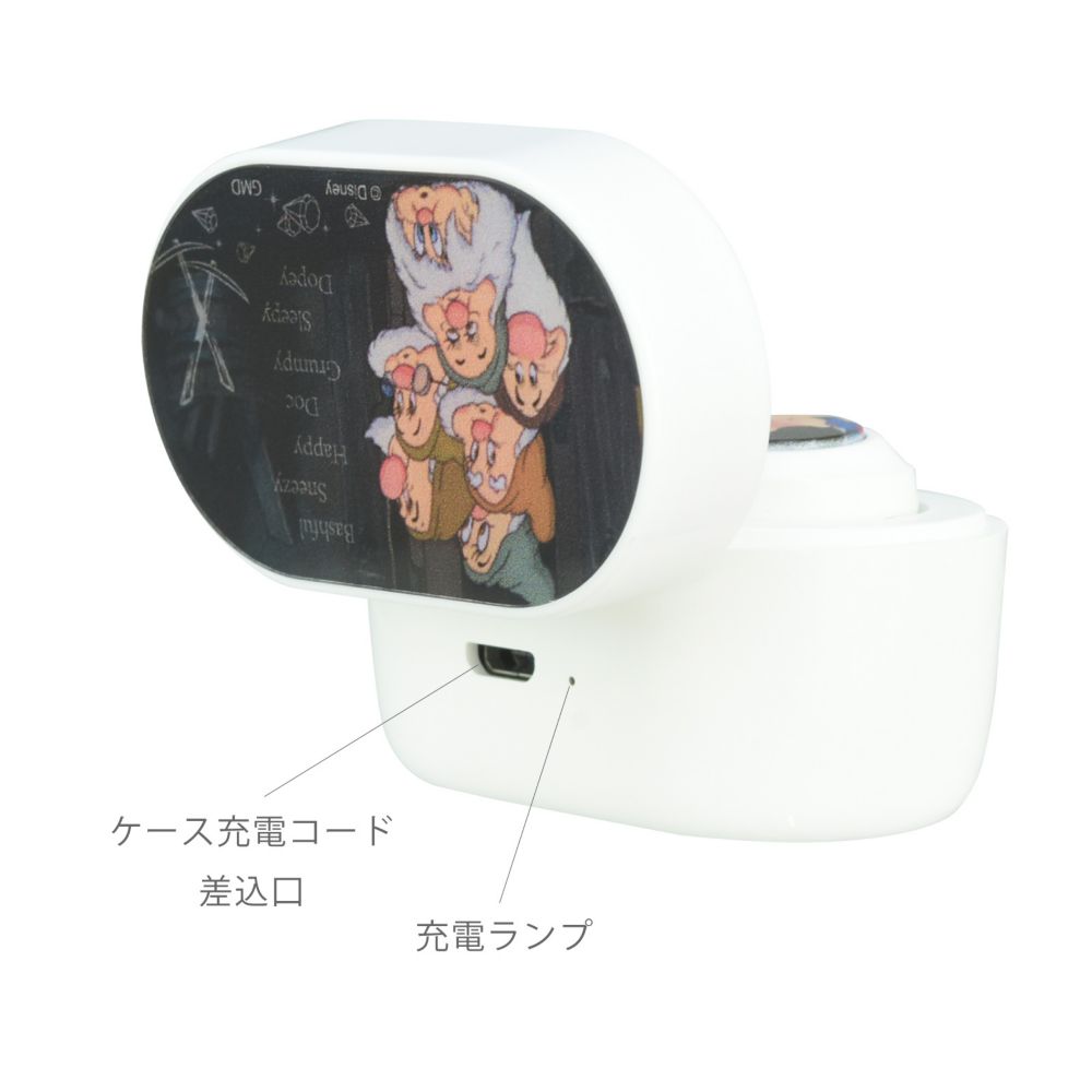 白雪姫 完全ワイヤレスステレオイヤホン DNG-108SW