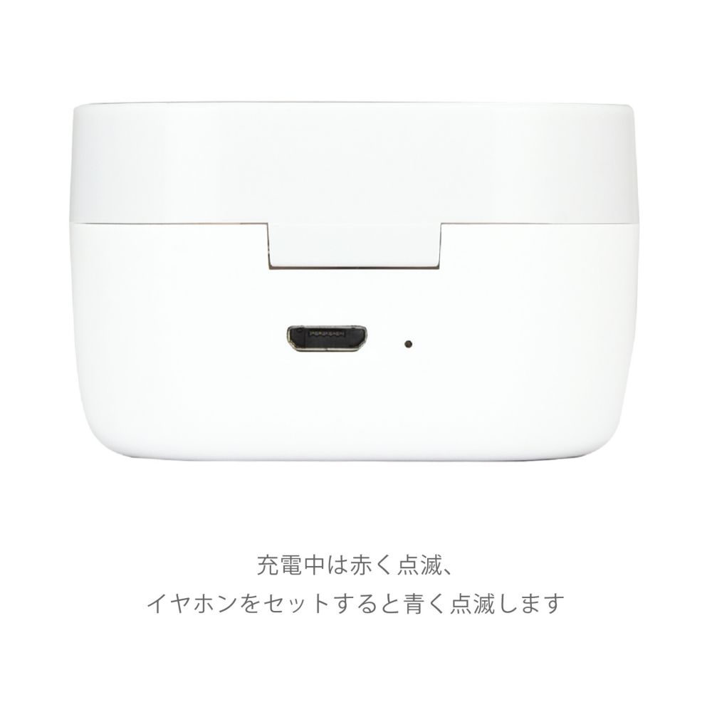 白雪姫 完全ワイヤレスステレオイヤホン DNG-108SW