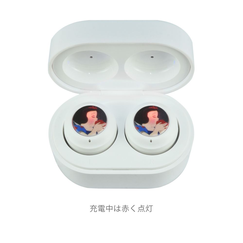 白雪姫 完全ワイヤレスステレオイヤホン DNG-108SW