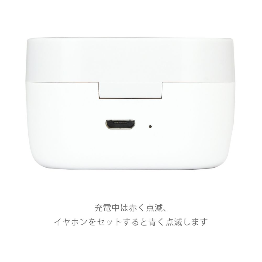 トイ・ストーリー 完全ワイヤレスステレオイヤホン DNG-108TS