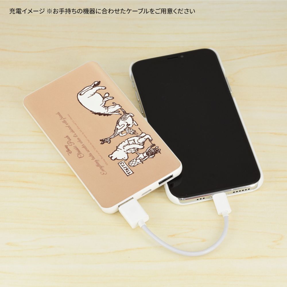 くまのプーさん せいれつ USB/USB Type-C 4000mAh リチウムイオンポリマー充電器 2.1A DNG-122A