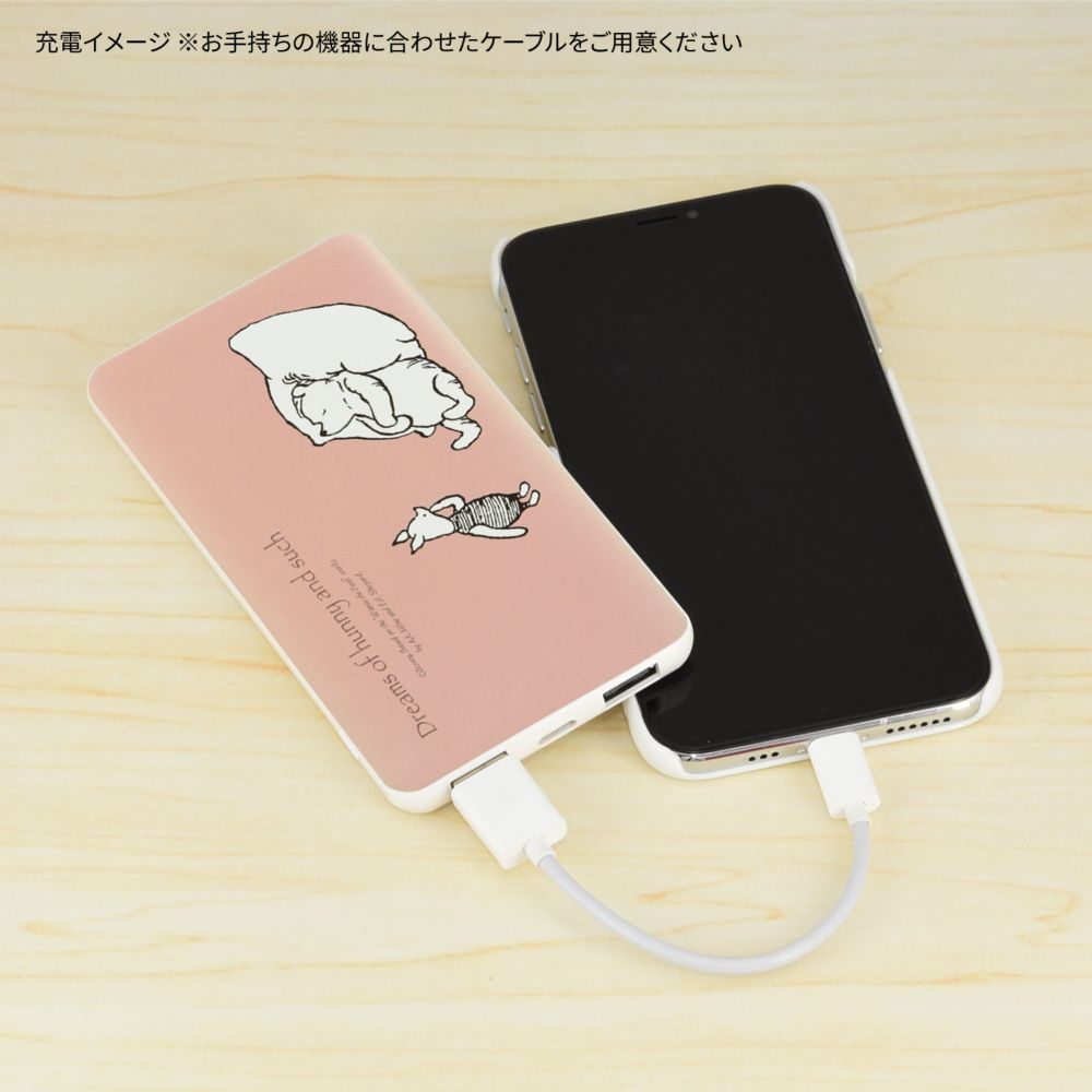 くまのプーさん おひるね USB/USB Type-C 4000mAh リチウムイオンポリマー充電器 2.1A DNG-122B
