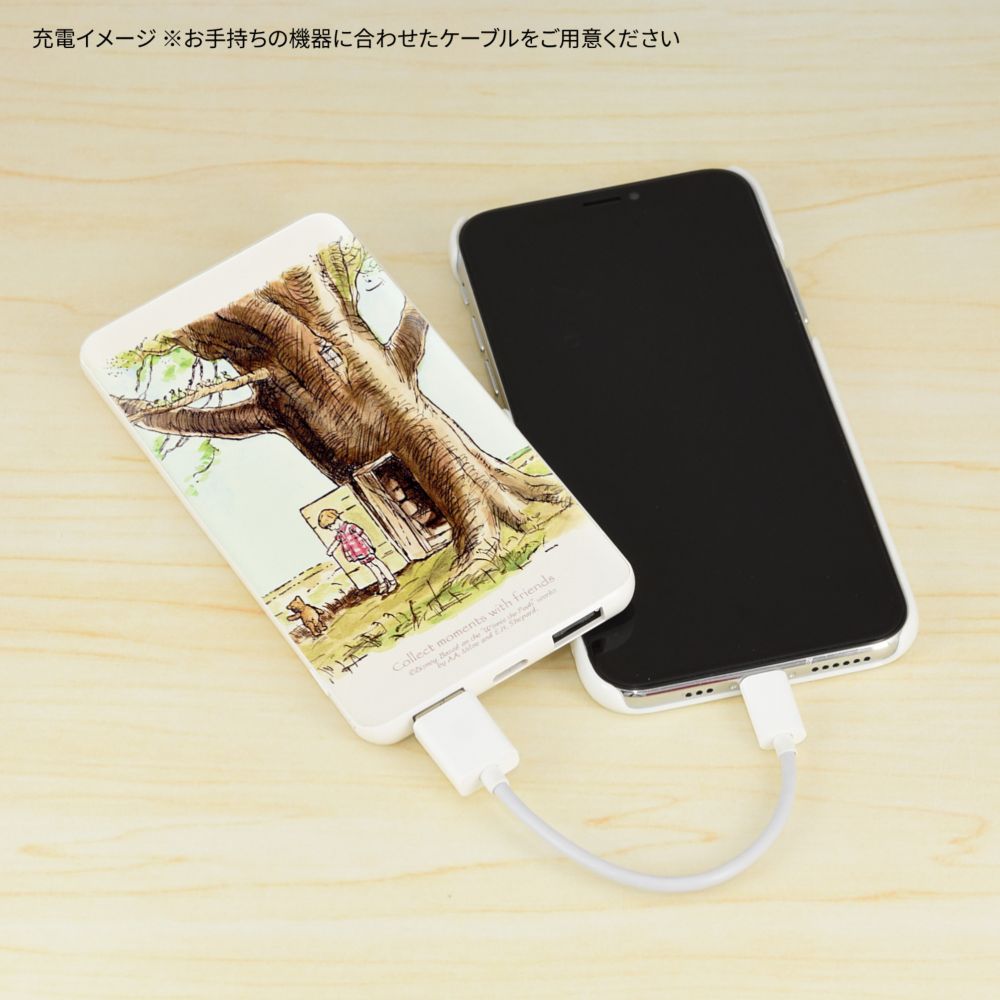 くまのプーさん おうち USB/USB Type-C 4000mAh リチウムイオンポリマー充電器 2.1A DNG-122C