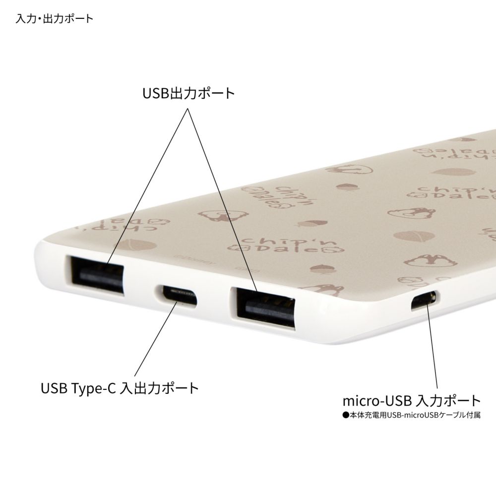 チップ＆デール リチウムイオンポリマー充電器 DNG-127CD
