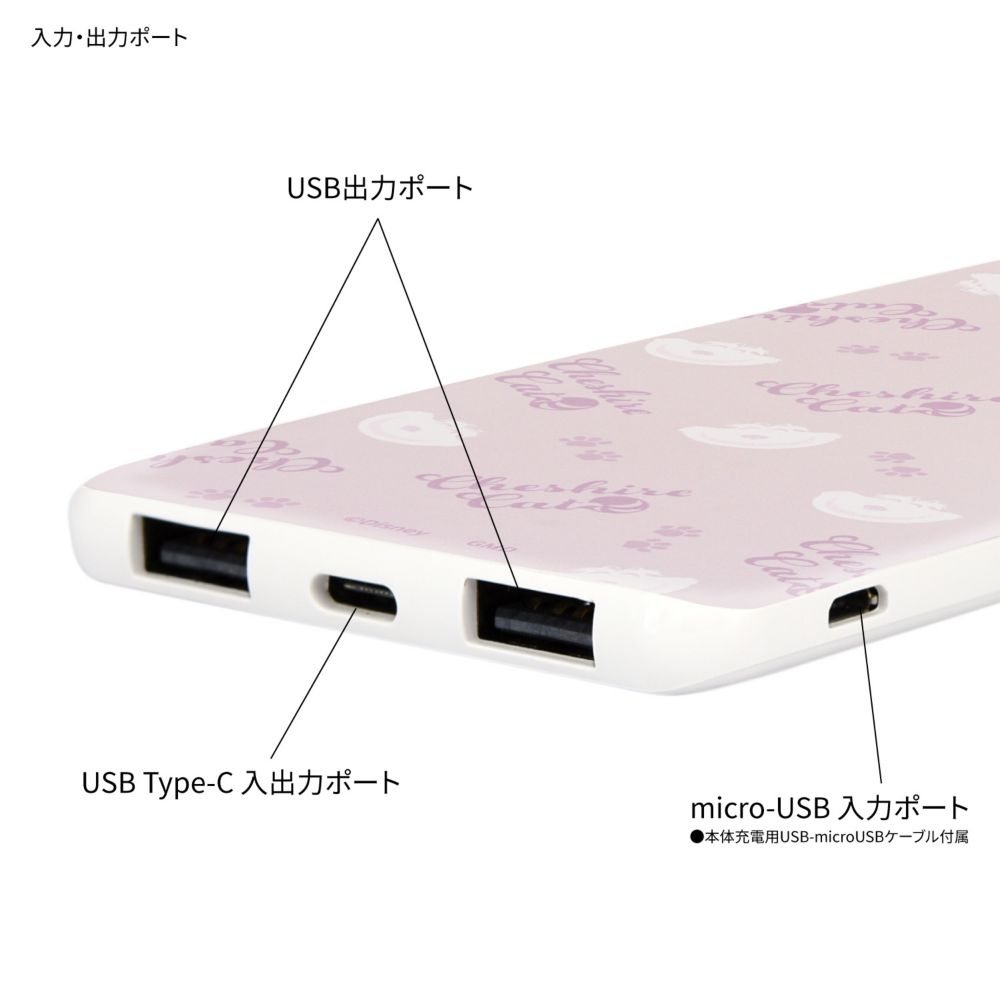 チェシャ猫 USB / USB Type-C 4000mAh リチウムイオンポリマー 充電器 2.1A DNG-127CS