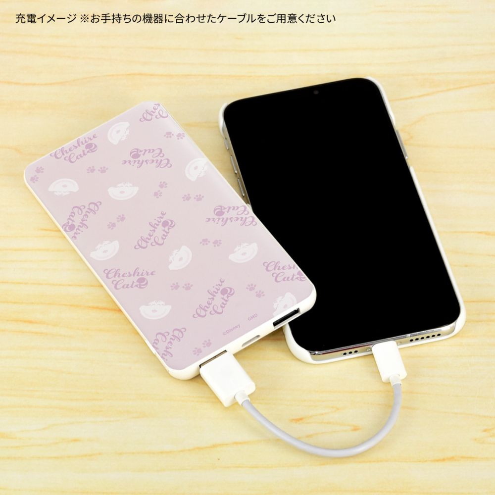 チェシャ猫 USB / USB Type-C 4000mAh リチウムイオンポリマー 充電器 2.1A DNG-127CS