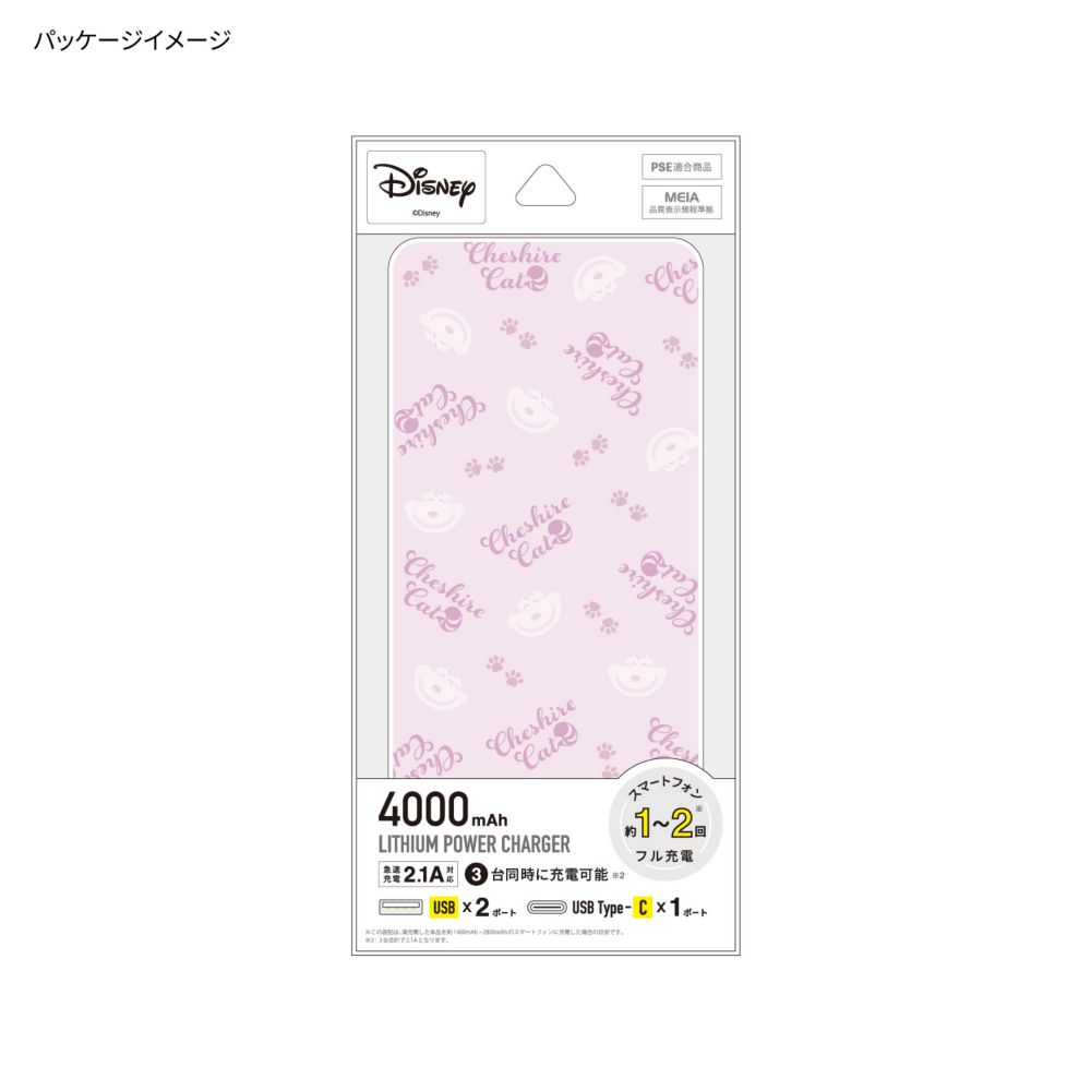 チェシャ猫 USB / USB Type-C 4000mAh リチウムイオンポリマー 充電器 2.1A DNG-127CS
