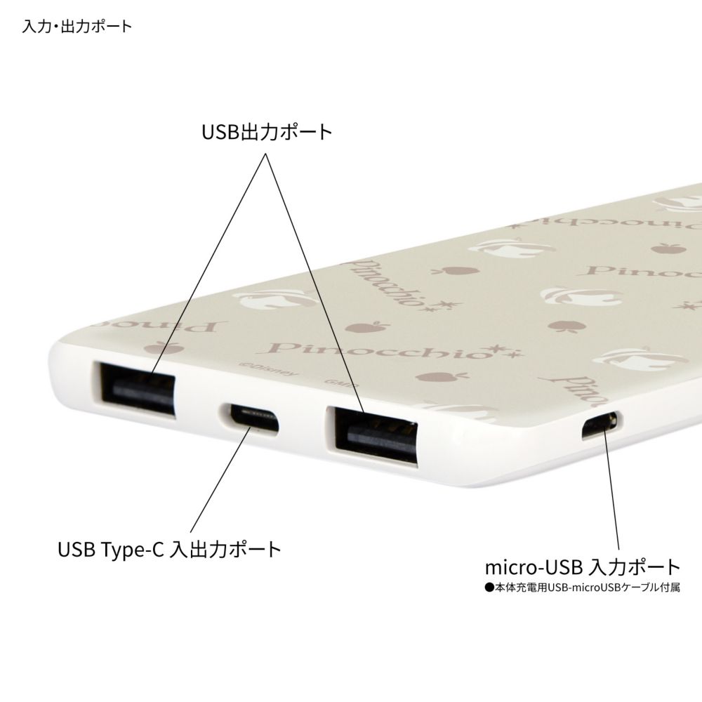 ピノキオ USB / USB Type-C 4000mAh リチウムイオンポリマー 充電器 2.1A DNG-127PN