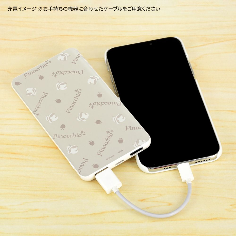 ピノキオ USB / USB Type-C 4000mAh リチウムイオンポリマー 充電器 2.1A DNG-127PN