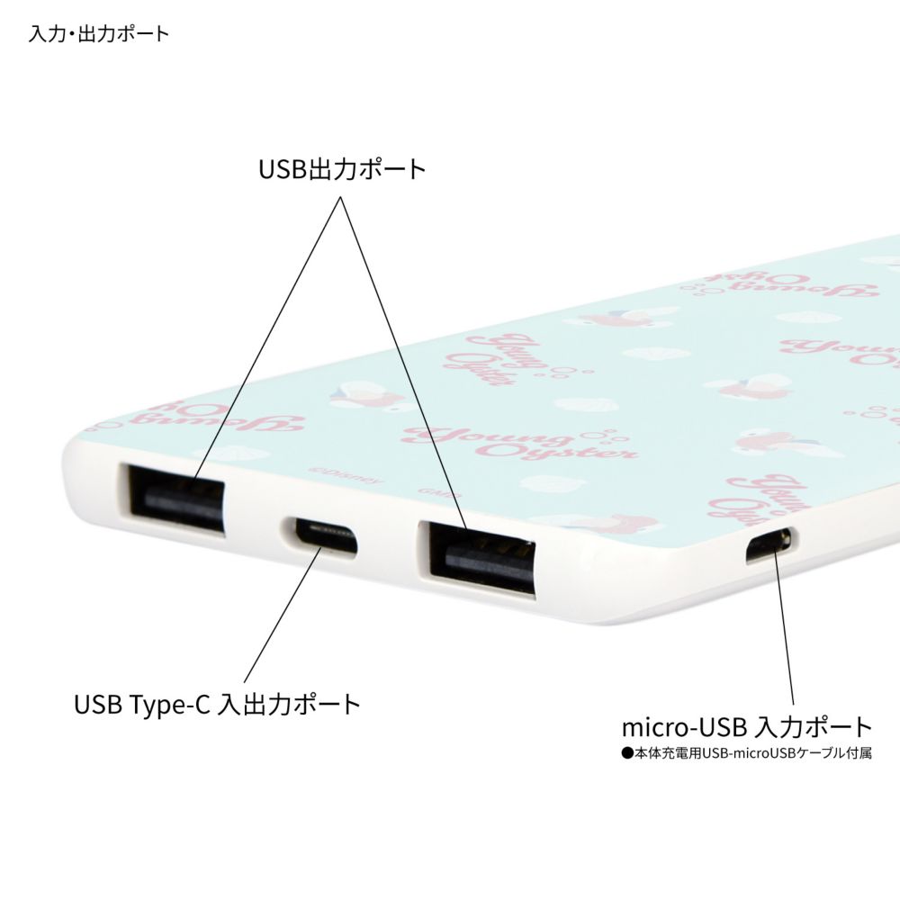 ヤングオイスター USB / USB Type-C 4000mAh リチウムイオンポリマー 充電器 2.1A DNG-127YO