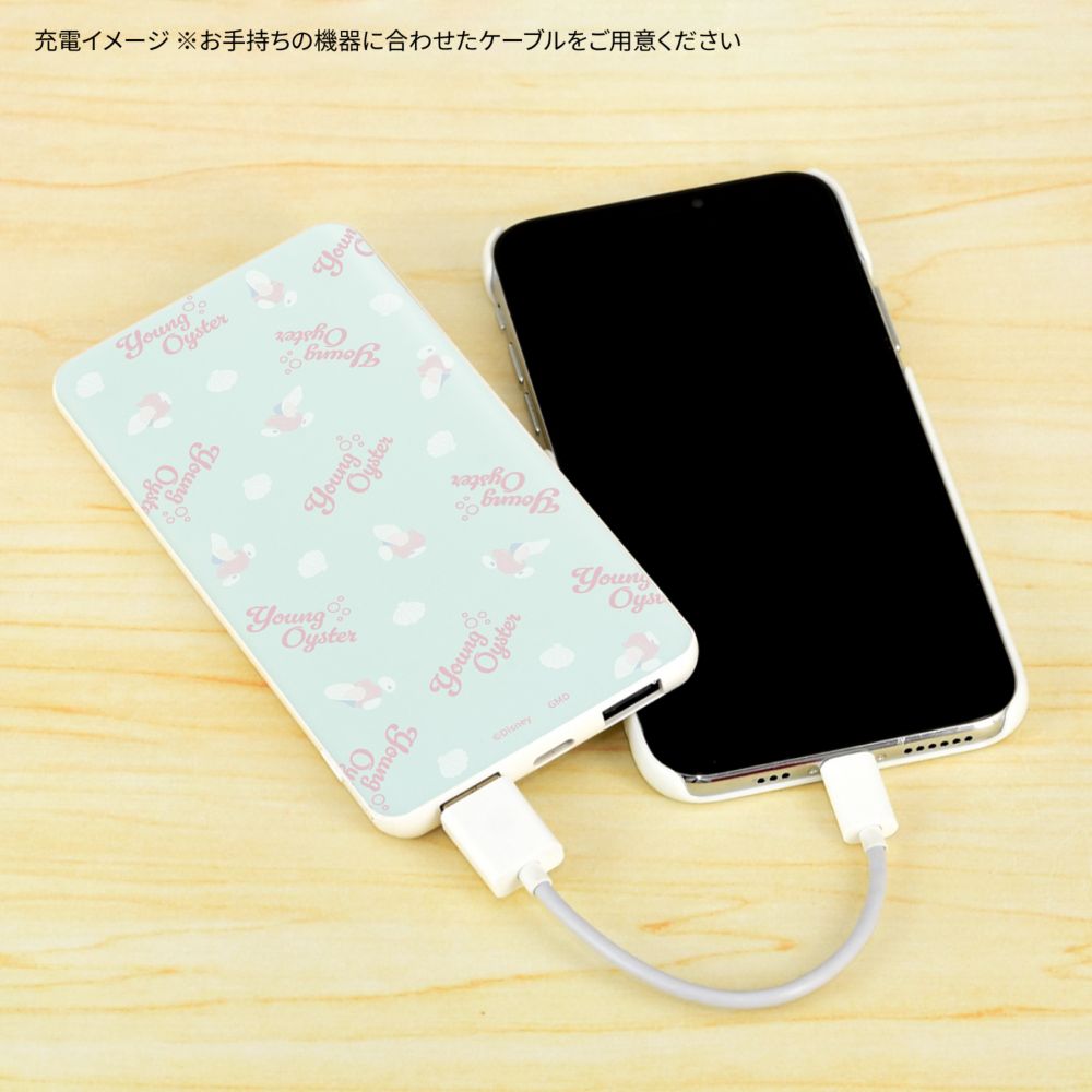 ヤングオイスター USB / USB Type-C 4000mAh リチウムイオンポリマー 充電器 2.1A DNG-127YO