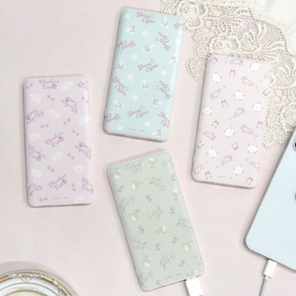 ヤングオイスター USB / USB Type-C 4000mAh リチウムイオンポリマー 充電器 2.1A DNG-127YO