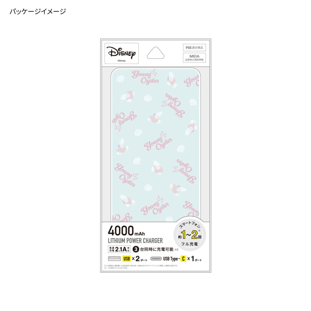 ヤングオイスター USB / USB Type-C 4000mAh リチウムイオンポリマー 充電器 2.1A DNG-127YO